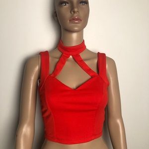 Burnt orange crop top